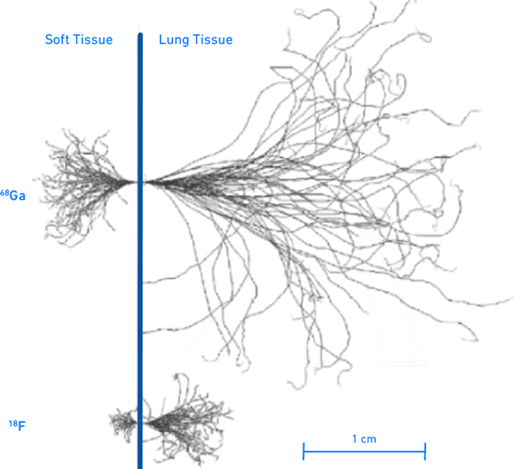 Lung tissue illustration showcasing less noise with 18F radiotracers